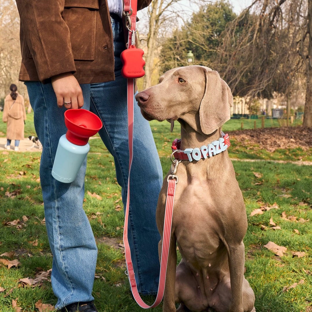 Dog Travel Water Bottle Limited-Edition