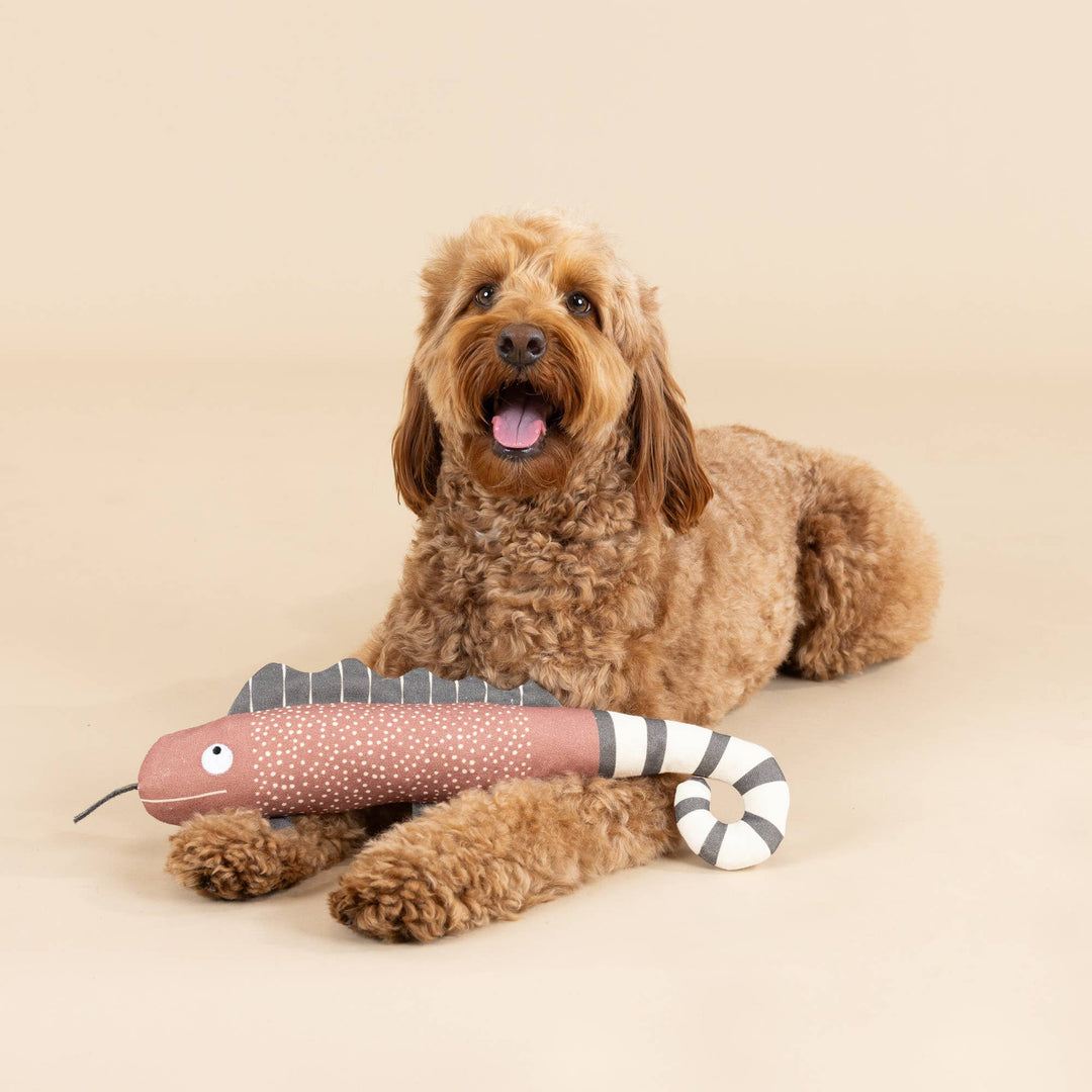 Canvas Sqeaker Dog Toy One In a Chameleon