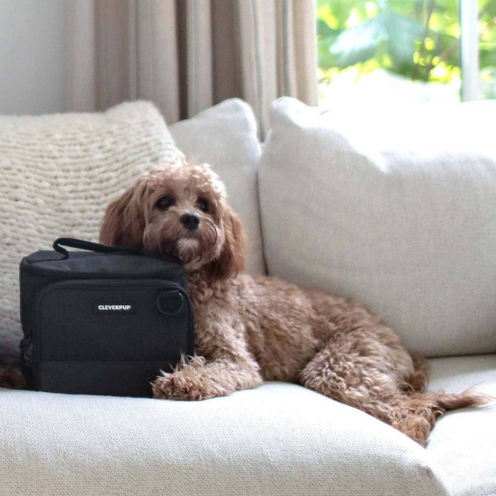 Bistro Box Dog Food Travel Kit