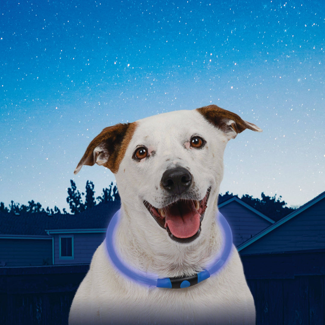 NiteHowl Rechargeable LED Safety Necklace Blue