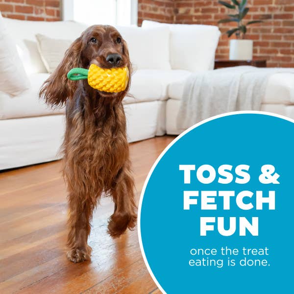 Dental Pineapple Dog Chew Toy