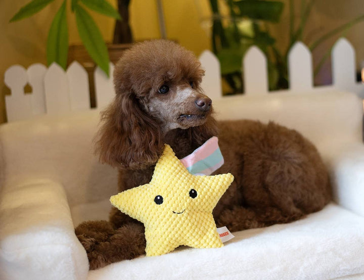 Shooting Star Plush Dog Toy 8"