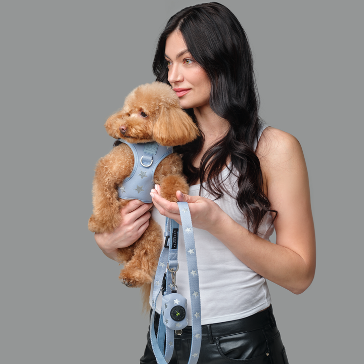 SoHo Dog Harness - Rockstar Hudson