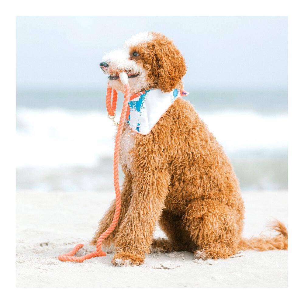 Coral/Orange Rope Leash