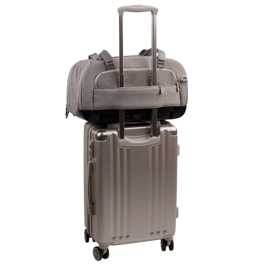 Dupree II Airline Carrier Pet Car Seat