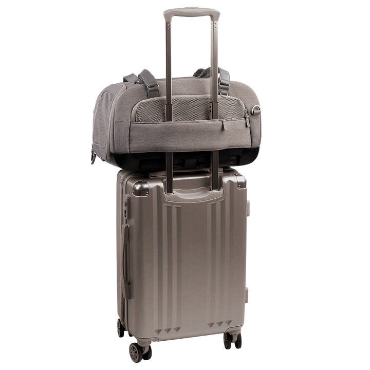 Dupree II Airline Carrier Pet Car Seat