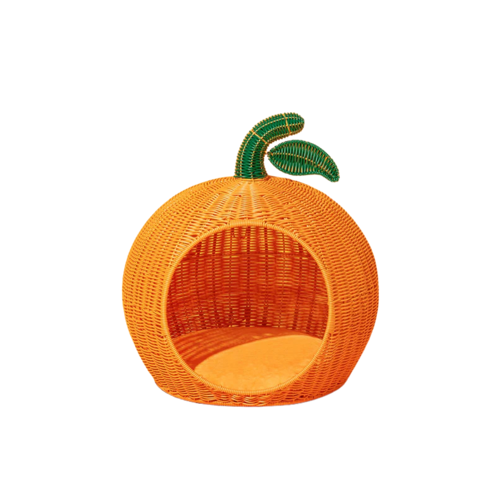 Tangerine Rattan Pet Bed