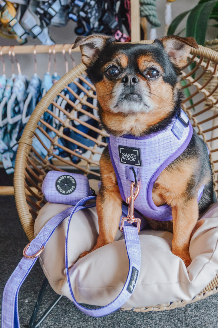 Dog Waste Bag Holder Aurora