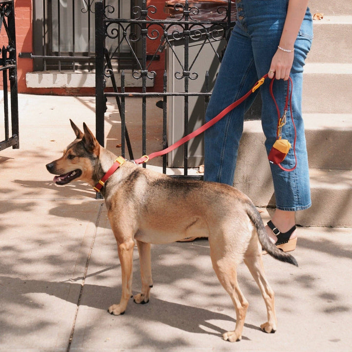 USA - The Fritz Dog Leash | Leash wit Handle | Multi Dog Leash
