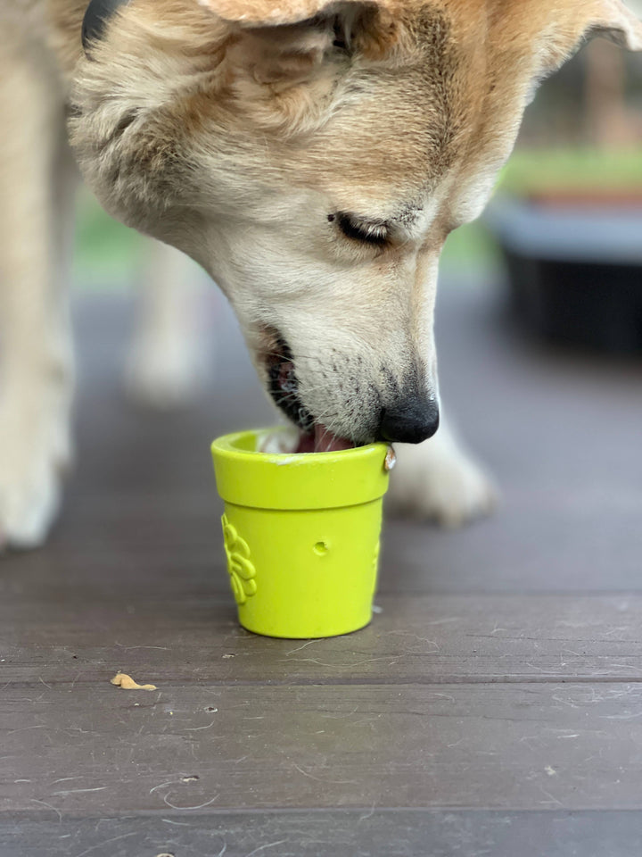 Flower Pot Durable Rubber Treat Dispenser &amp; Enrichment