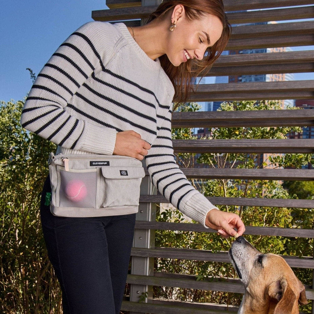 Dog Walk &amp; Train Sling Bag