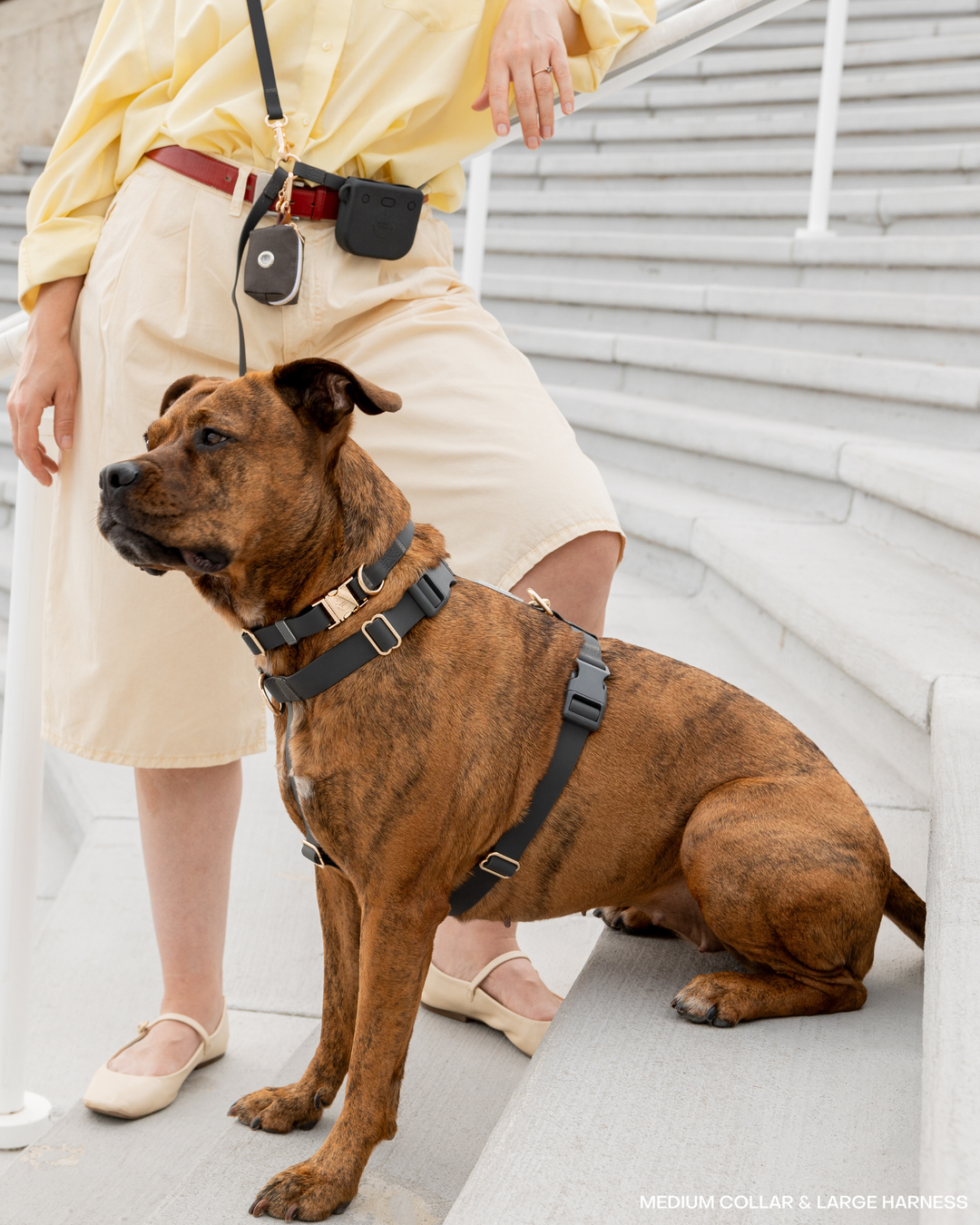 Ember Black 4-in-1 Convertible Hands Free Cloud Dog Leash