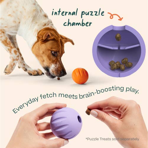 FlyBall Single