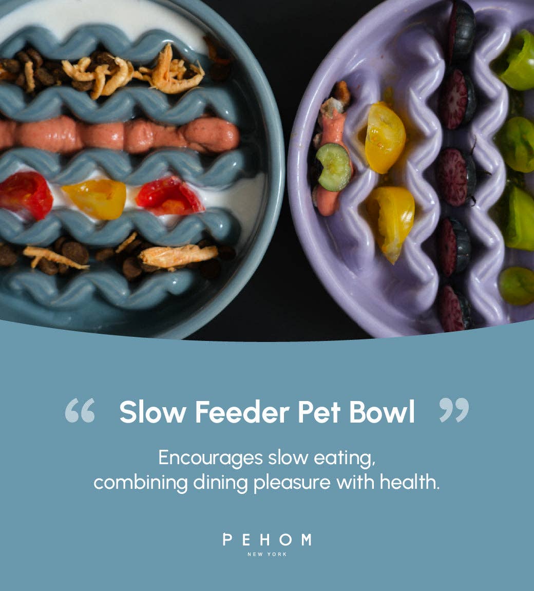 Macaroni Slow Feeder Dog Bowls