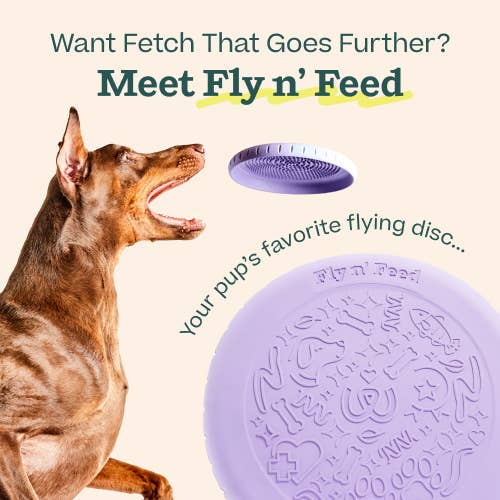 Fly n&