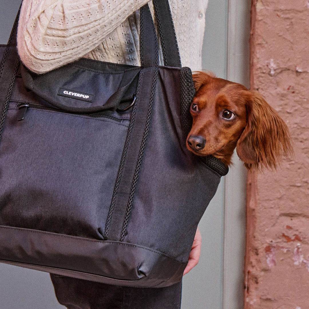 Transit Tote Dog Carrier
