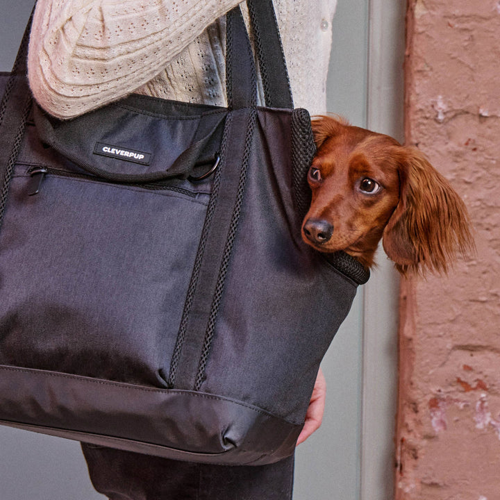 Transit Tote Dog Carrier