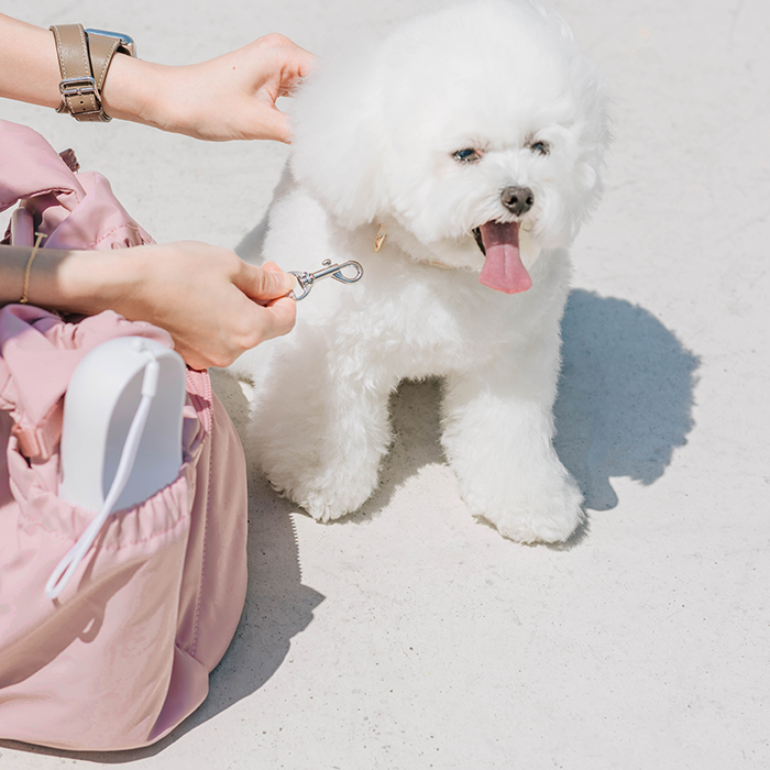 Snuggle Petite Pet Carrier | For Small Dogs &amp; Cats